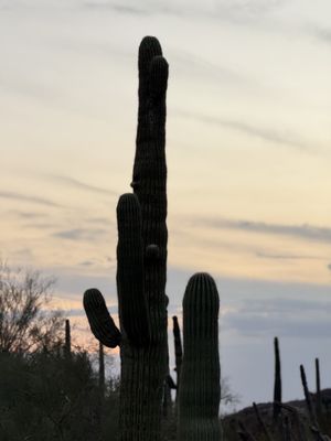 Papago Park by null