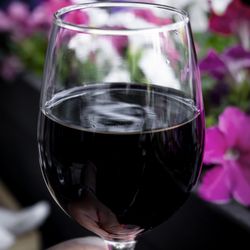 Levetto - Red wine