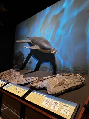 Museum of the Rockies by null