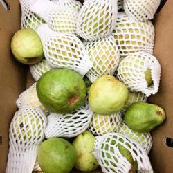 VN Oriental Market - GUAVA