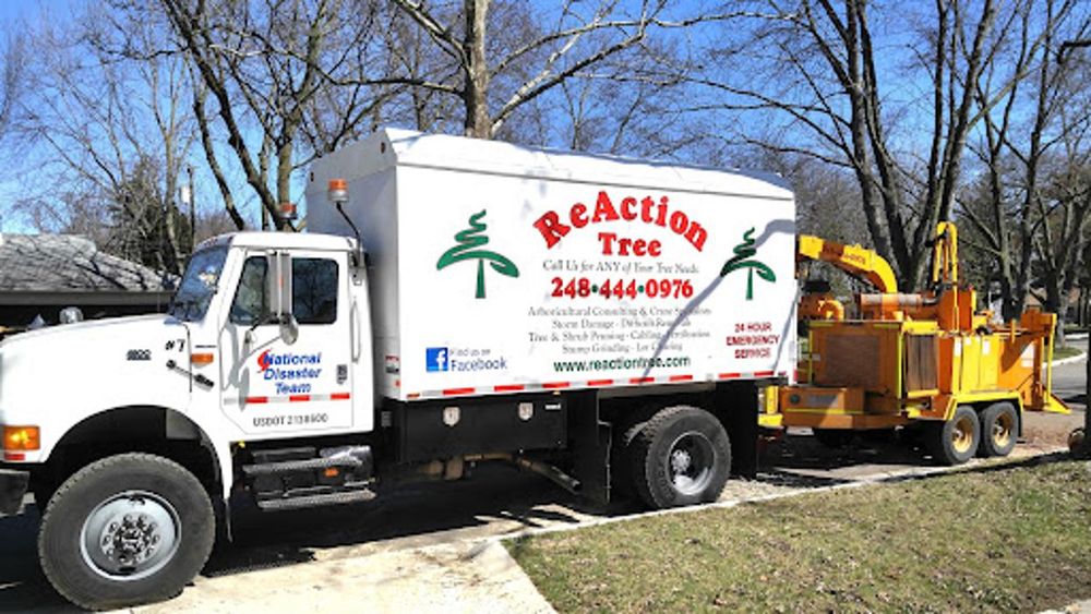 ReAction Tree Service - tree service in Southfield, MI