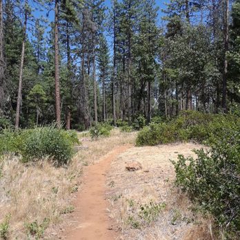 Pacific Crest Trail, Squaw Valley Trailhead - Local Flavor Near Me Pacific Crest Trail, Squaw Valley Trailhead - Local Flavor Near Me