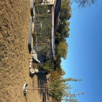 Zavala Tree Service - Tree Services Near Me Zavala Tree Service - Tree Services Near Me