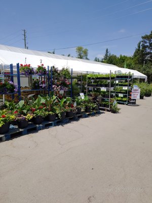 19th Avenue Farmer's Market by null