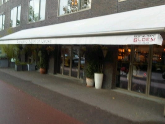 Bloem op IJburg by null