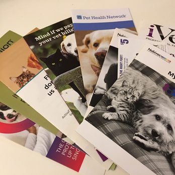 west chester cat hospital