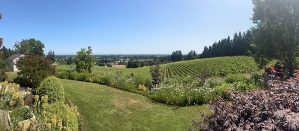 Bergström Wines Tasting Room by null