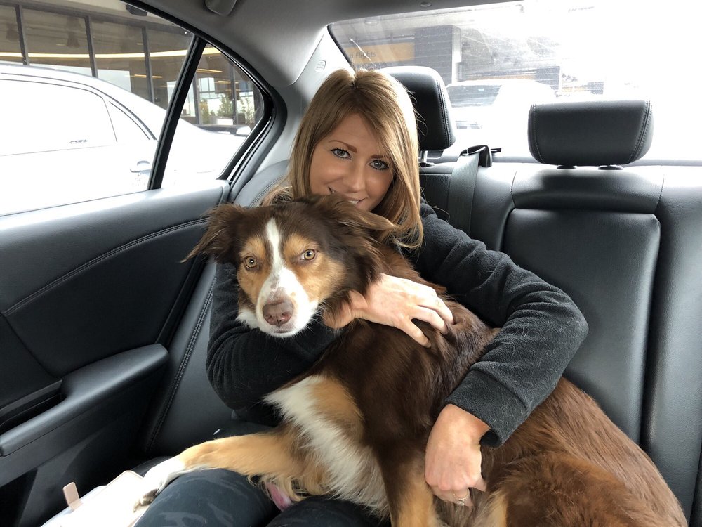 RIDES WITH CASH - 10 Photos - Tinton falls, New Jersey - Airport