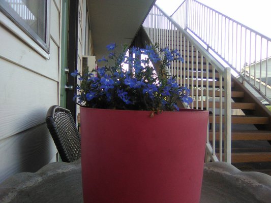 Coleman Hugh Inventor