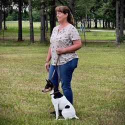Integra Dog Training - Four (shown here) is currently in agility training for the 2024 season.