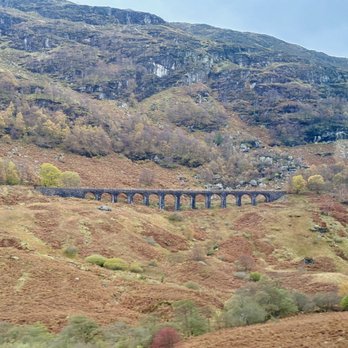 The Hairy Coo - The Hairy Coo - Scotland Tours_Yelp_Sanju-7 - Tours Near Me - Edinburgh, EDH