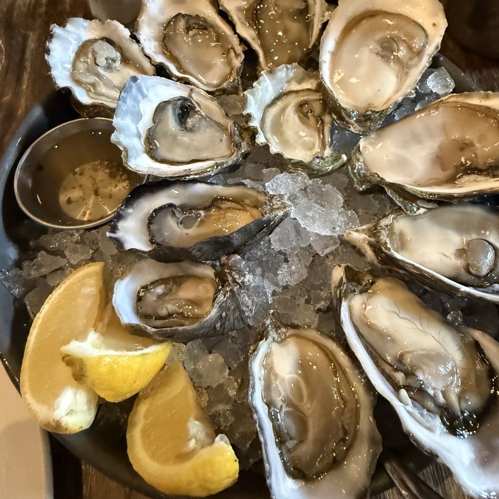 Taylor Shellfish Oyster Bar - More oysters, can't get enough - Seafood Near Me - Seattle, Washington Taylor Shellfish Oyster Bar - More oysters, can't get enough - Seafood Near Me - Seattle, Washington