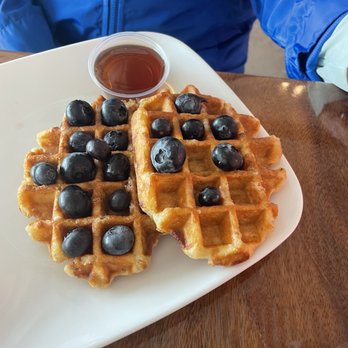 Raining Berries - Blueberry Belgium Waffle- has a wonderful crunch to it - Acai Bowls Near Me - Lutz, Florida Raining Berries - Blueberry Belgium Waffle- has a wonderful crunch to it - Acai Bowls Near Me - Lutz, Florida