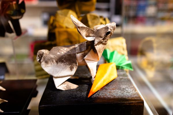 Paper Tree by null