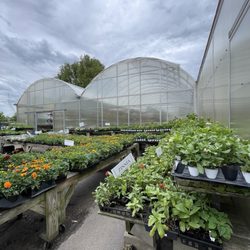 Wayside Garden Center