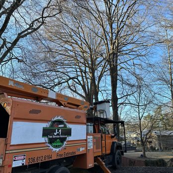 J-1 Tree Service - Tree Services Near Me J-1 Tree Service - Tree Services Near Me