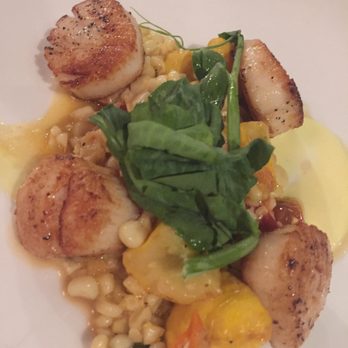 Celadon - Scallop entree - Seafood Near Me - Napa, California