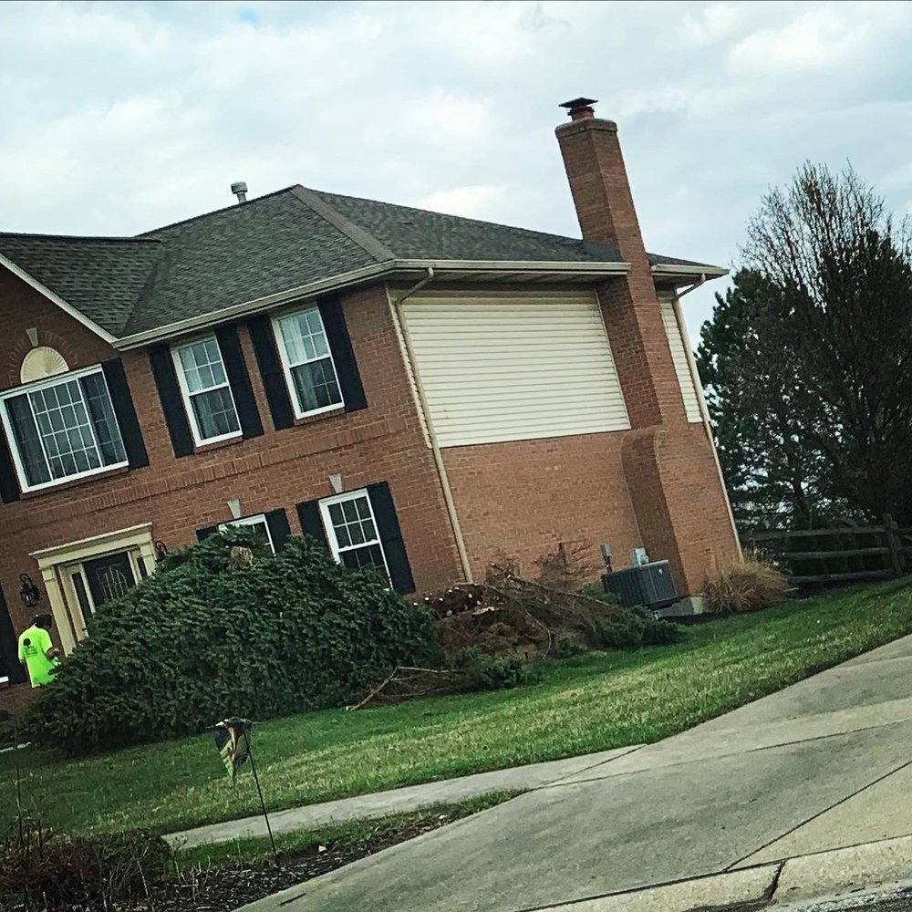 Baker Tree Service - Goodbye beautiful pine. You were eating the house so you had to go - Tree Services Near Me - Trenton, Ohio Baker Tree Service - Goodbye beautiful pine. You were eating the house so you had to go - Tree Services Near Me - Trenton, Ohio