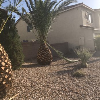 Unity Land Construction - Same day he left - Landscaping Near Me - North Las Vegas, Nevada Unity Land Construction - Same day he left - Landscaping Near Me - North Las Vegas, Nevada