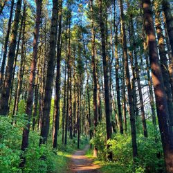 Kohler-Andrae State Park