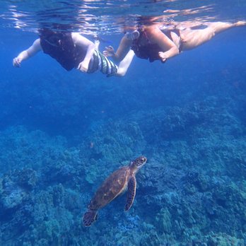 Maui Kayak Adventures - Rafting/Kayaking Near Me - Kihei, Hawaii Maui Kayak Adventures - Rafting/Kayaking Near Me - Kihei, Hawaii