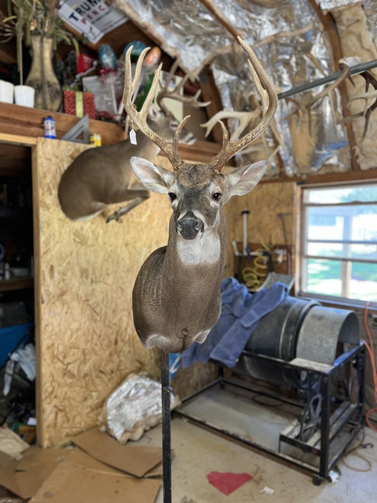 L&S Taxidermy - taxidermy in Carriere, MS