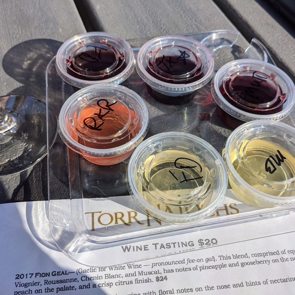 Wine Tasting Wine Tasting