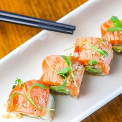 Little Ollie's - Seared Salmon Roll