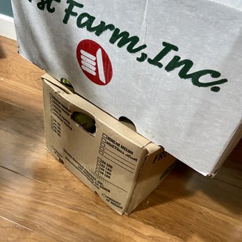 Joong Boo Market - cabbages and radishes $10 each - 11/2021 - International Grocery Near Me - Glenview, Illinois