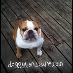 Doggy By Nature