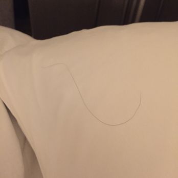 Hotel AKA Back Bay - Human hair I found in my bed (not mine) - Hotels Near Me - Boston, Massachusetts Hotel AKA Back Bay - Human hair I found in my bed (not mine) - Hotels Near Me - Boston, Massachusetts