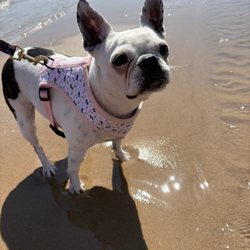 Oscoda Beach Park