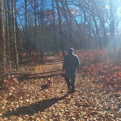 Oak Openings Preserve Metropark - Red trail