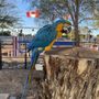 Photo of Sun Vista RV Resort