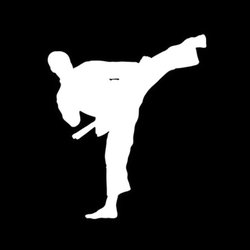 Digital Dropkick