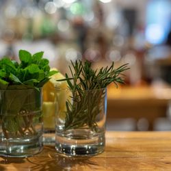 Beach Camp Brewing - Cocktails made with incredible garnishes