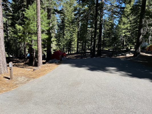 D. L. Bliss State Park by null