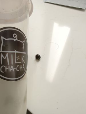 Milk Cha-Cha by null