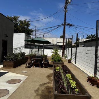 MAKE Cafe - Garden - Breakfast & Brunch Near Me - San Diego, California MAKE Cafe - Garden - Breakfast & Brunch Near Me - San Diego, California