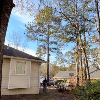 Cowart Tree Service - Tree Services Near Me - Danielsville, Georgia Cowart Tree Service - Tree Services Near Me - Danielsville, Georgia