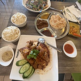 PappaRich - Roti rendang, fried hainanese chicken - Malaysian Near Me - Houston, Texas