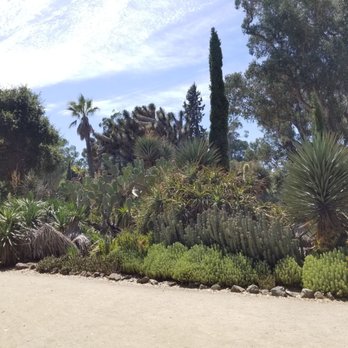 Arizona Garden - Wow... - Botanical Gardens Near Me - Stanford, California Arizona Garden - Wow... - Botanical Gardens Near Me - Stanford, California