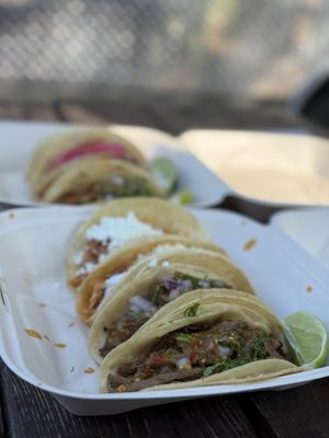 Xochi by null Xochi by null