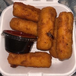 Cameron's Deli - Bug in my food. I'm just disgusted. They wouldn't refund me, said I found the bug outside and put it there.
