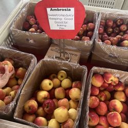 Apple Valley Orchard