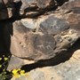 Photo of Arizona Escapes