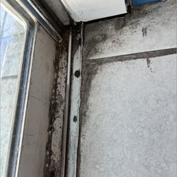 This is how "clean" the property was - 4511 Gulf Blvd This is how "clean" the property was - 4511 Gulf Blvd