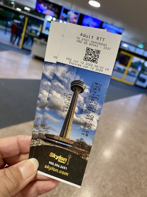 Skylon Tower by null