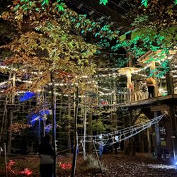 Go Ape Zipline & Adventure Park - Go Ape! Frights at Heights