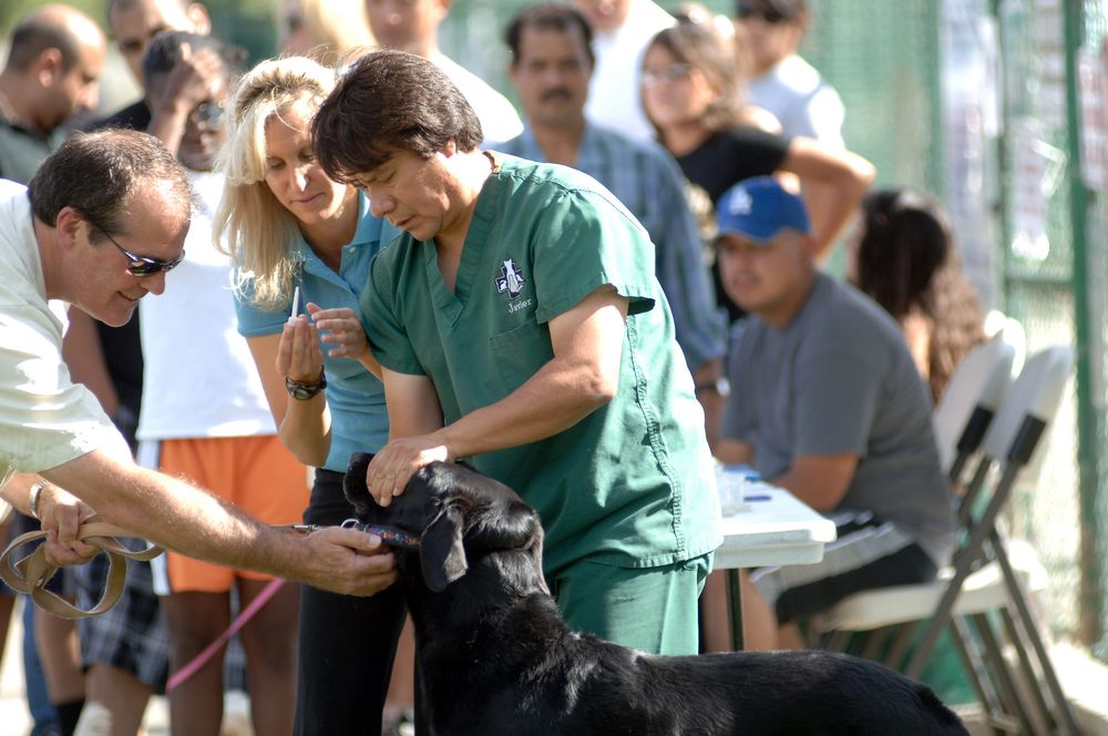 LOW COST PET VACCINES Updated July 2024 Culver City, California